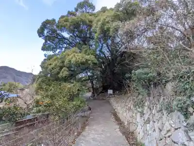 大山祇神社奥の院 生樹の御門(愛媛県)