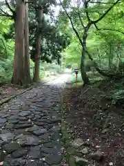 大神山神社奥宮の自然