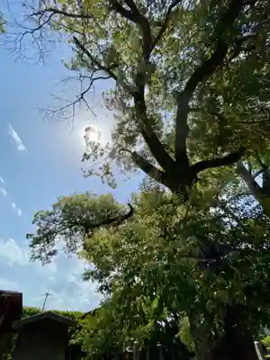 城南宮(京都府)