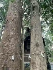 鶴嶺八幡宮の自然