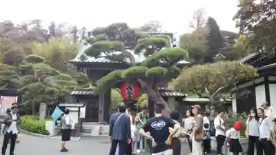 長谷寺の山門・神門
