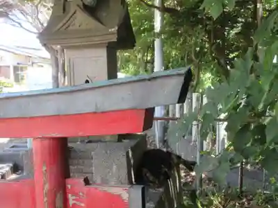 海南神社(神奈川県)