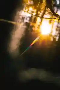 成蓮寺(島根県)(2023年11月18日(土) 22時07分05秒投稿)