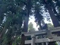 大宮温泉神社(栃木県)