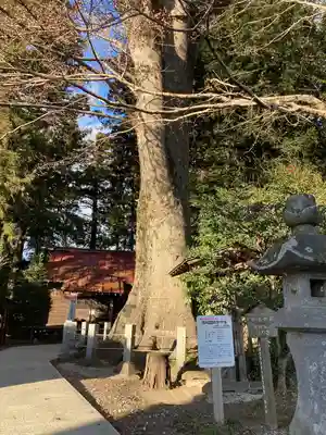 向田神社のその他建物