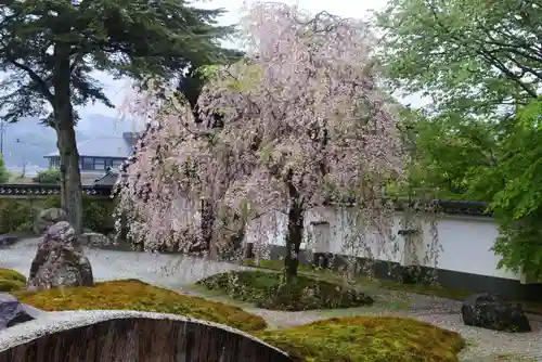 大徳寺の庭園