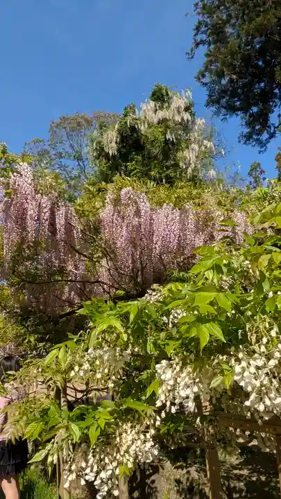 歌泉堂(春日大社神苑萬葉植物園内鎮座)(奈良県)
