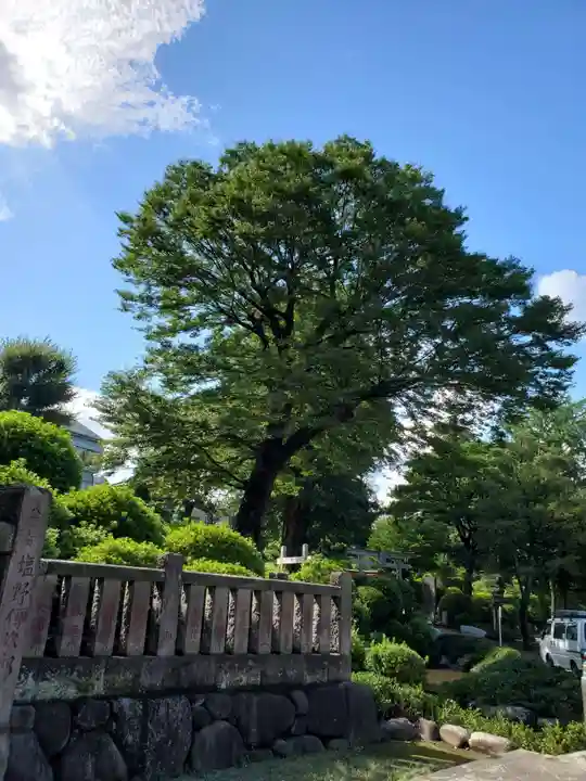 根津神社の自然