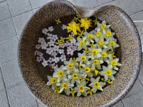 美瑛神社の建物その他