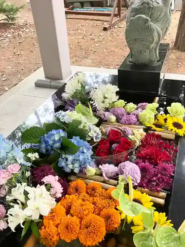 大谷地神社の手水