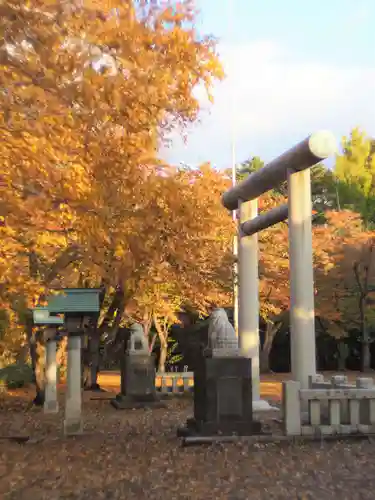 岩内神社の鳥居