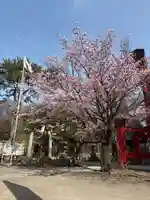 彌彦神社 (伊夜日子神社)(北海道)