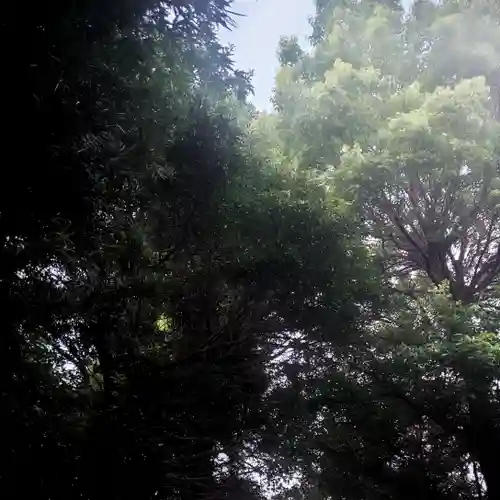 鈴置神社（矢合）の自然