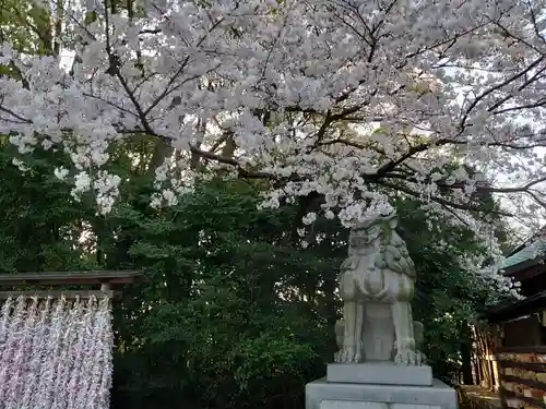 寒川神社の狛犬