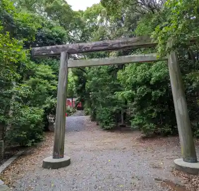 小向神社の{uncategorized: "未分類", other: "その他", undefined: "問題あり", building: "その他建物", grave: "お墓", sacred_gate: "鳥居", guardian: "狛犬", statue: "像", buddha: "仏像", history: "歴史", nature: "自然", garden: "庭園", animal: "動物", pagoda: "塔", temizu: "手水舎", mountain_gate: "山門・神門", sanctuary: "本殿・本堂", subordinate: "末社・摂社", art: "芸術", scenery: "景色", jizo: "地蔵", ema: "絵馬", goshuin: "御朱印", omikuji: "おみくじ", items: "授与品その他", amulet: "お守り", goshuincho: "御朱印帳", eats: "食事", festival: "お祭り", votive_dance: "神楽", shichigosan: "七五三参", wedding: "結婚式", experience: "体験その他", initially: "初詣", around: "周辺", anti_infection: "感染症対策"}