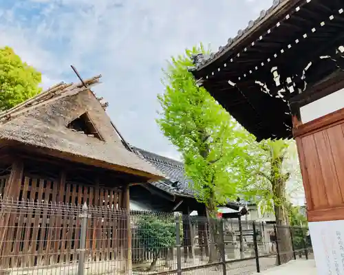 観音寺のその他建物