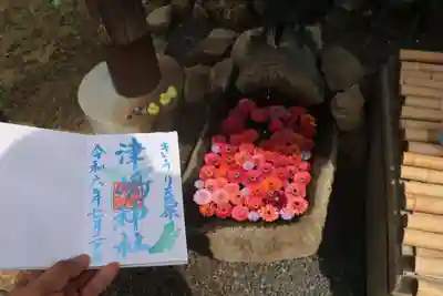 津嶋神社の御朱印