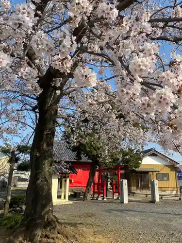 厳島神社(埼玉県)