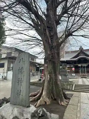 滝野川八幡神社(東京都)