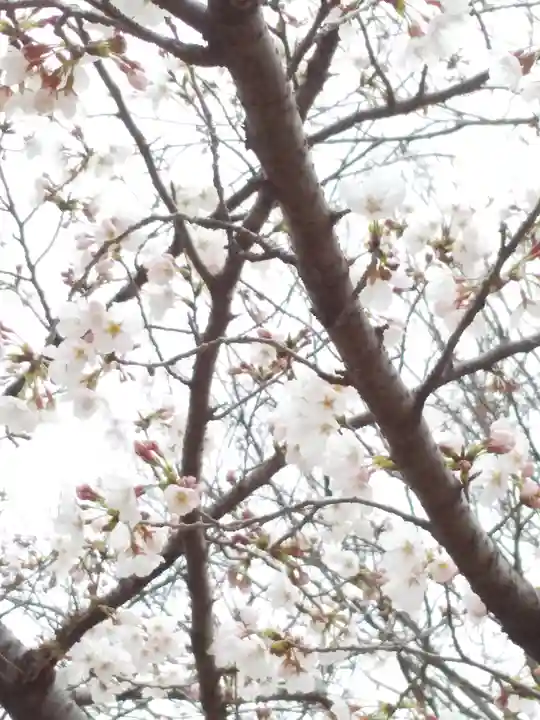 星田妙見宮(大阪府)