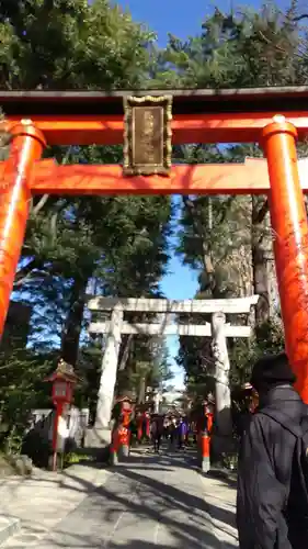 馬橋稲荷神社の鳥居