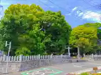 八幡神社(井田)の自然