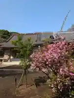 豊顕寺(神奈川県)