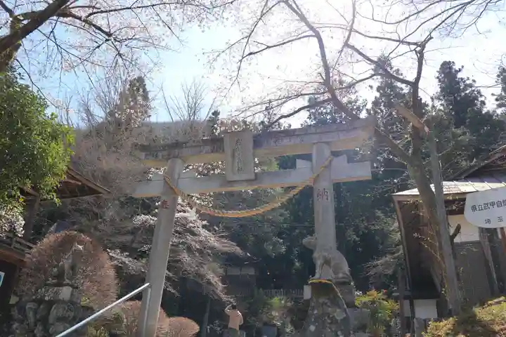 秩父若御子神社(埼玉県)