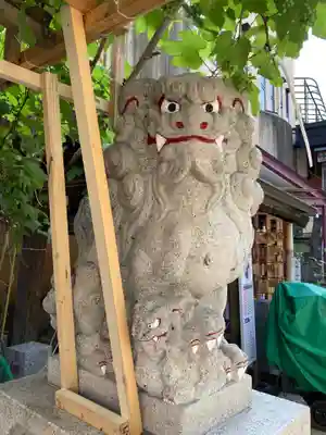 菊名神社の狛犬