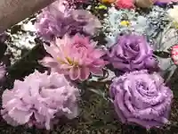 春日神社の自然