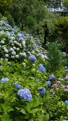 善峯寺(京都府)