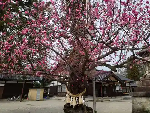 射水神社の庭園