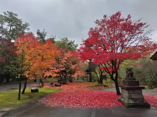鷹栖神社の自然