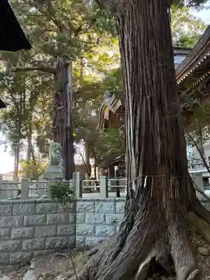 艫神社(茨城県)