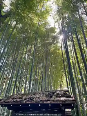 妙光院(東京都)