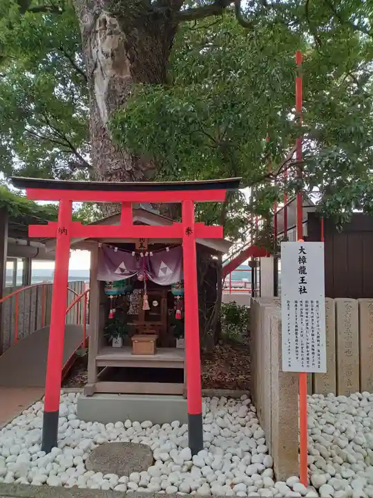 金剛宝寺(紀三井寺)(和歌山県)