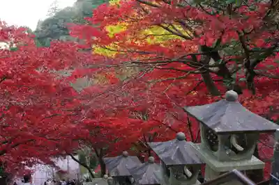 大山寺(神奈川県)
