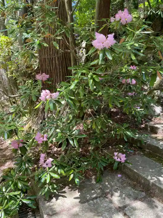 成相寺(京都府)