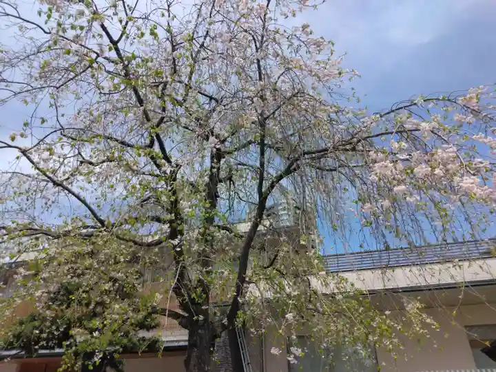 観音寺(東京都)
