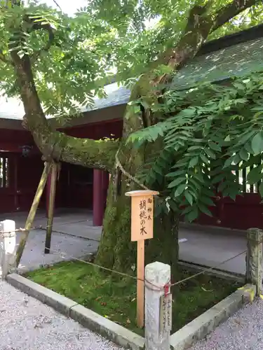 笠間稲荷神社の庭園