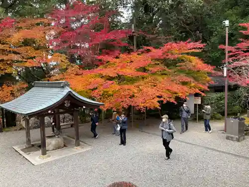 西明寺の建物その他