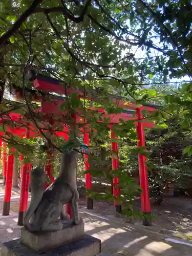 姫路神社の鳥居