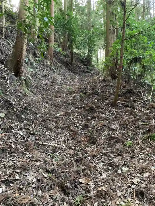 河内神社の自然