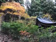 真山神社の自然