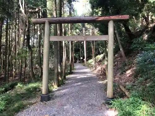 出雲大神宮の鳥居