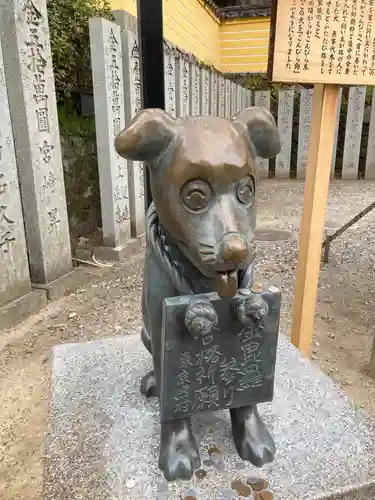 金刀比羅宮の狛犬