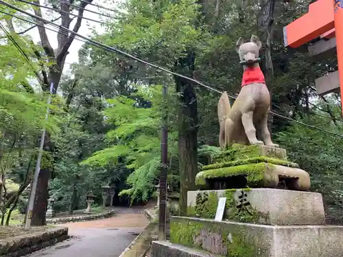 伏見稲荷大社の狛犬