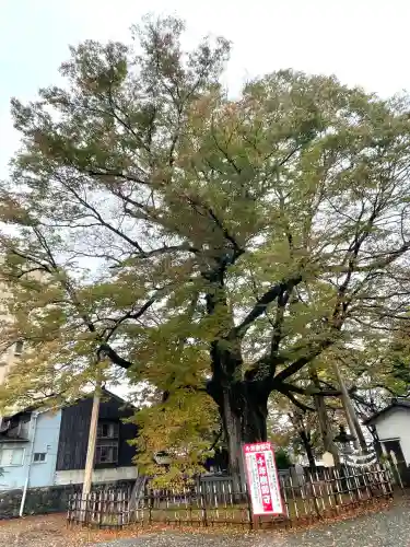神明宮(石川県)