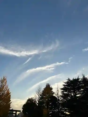 浅草神社の自然