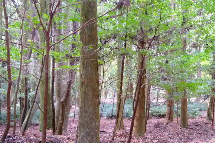 伊勢神宮内宮(皇大神宮)の周辺
